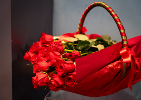 KBF-Dan-fakulteta-2024-37