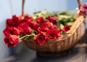 Dan-Fakulteta-2026-99