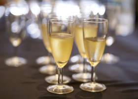 Promocija-diplomanata-2023-223