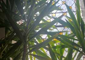 IMG-20260507-WA0012